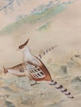 A Pair Of Nepalese (?) Bird Watercolours