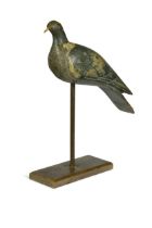 A decoy pigeon, 19th century,