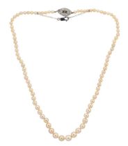 A natural saltwater pearl necklace with a diamond set clasp,