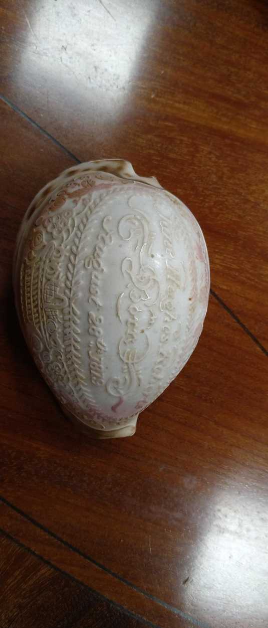 A collection of carved commemorative Cowrie shells, early 19th century, - Image 9 of 12