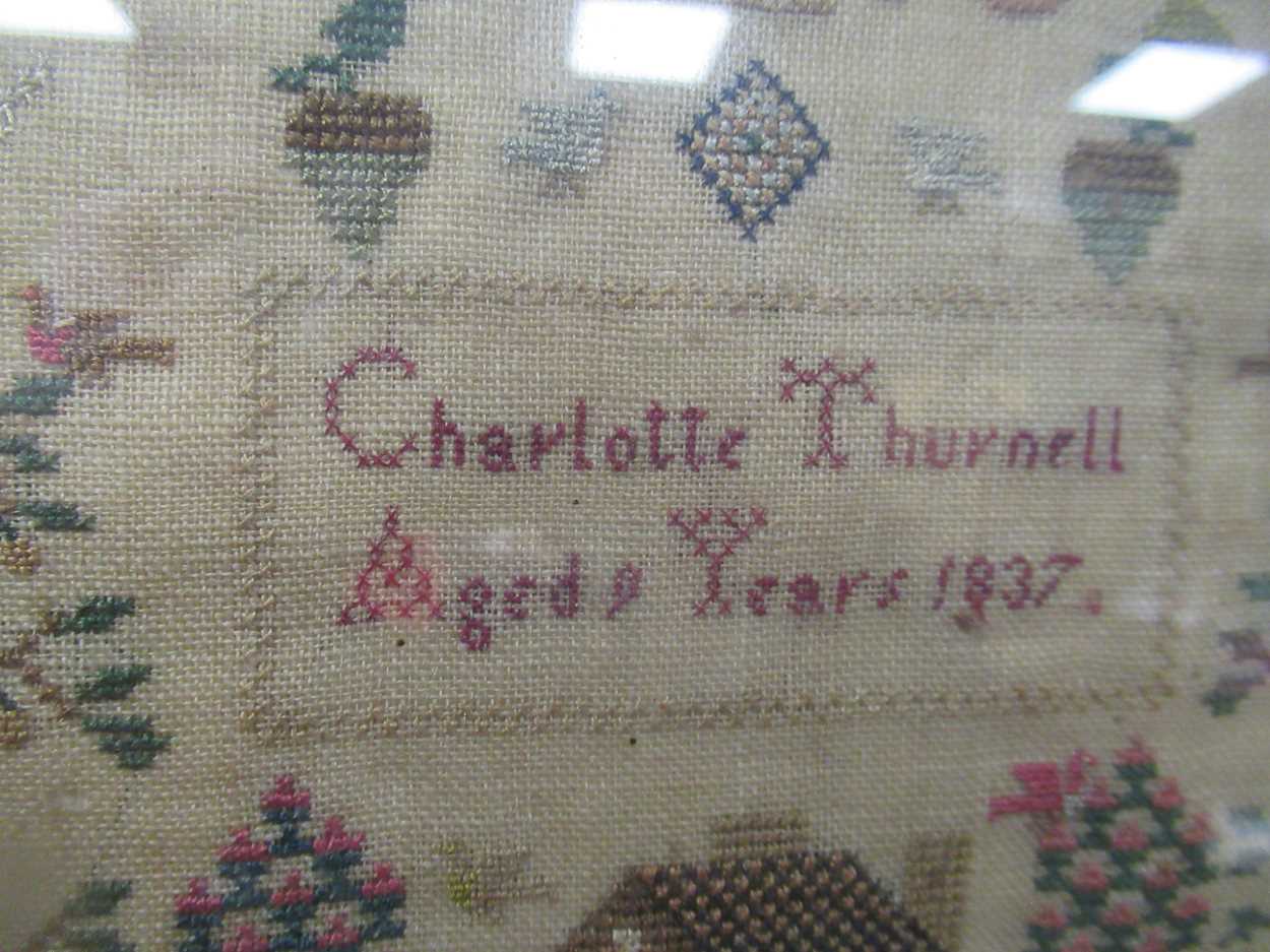 A needlework sampler by 'Charlotte Turnell Aged 9 Years 1837', with alphabet bands above 6 line - Image 5 of 5
