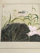 Two Chinese painting on paper, one bound as a scroll, on of blossoms and butterflies, 39 x 72cm, and