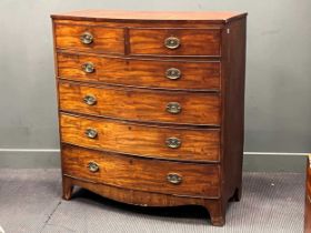 A Regency mahogany bow front chest of two short over four long drawers 114 x 106 x 51cm