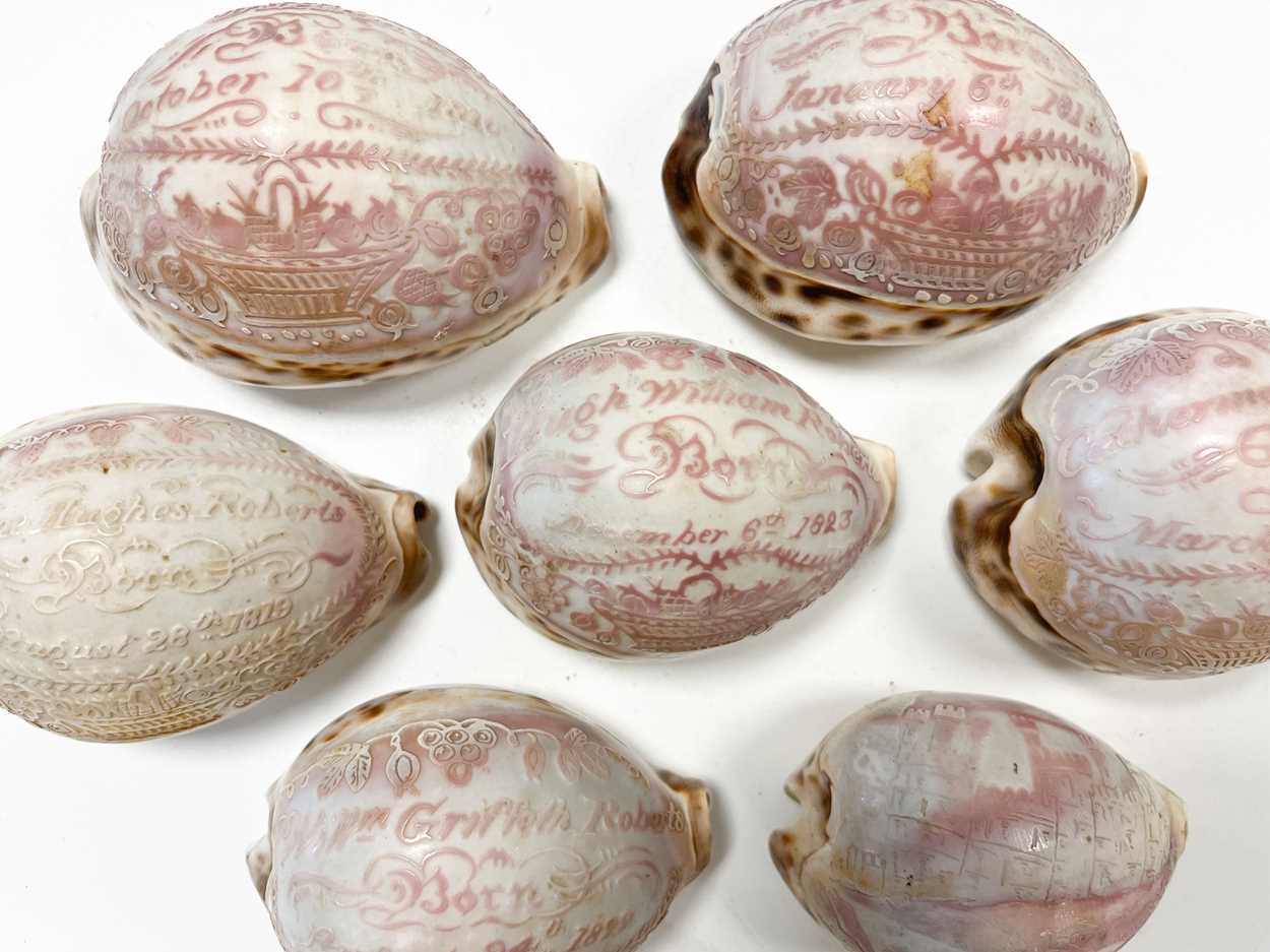 A collection of carved commemorative Cowrie shells, early 19th century, - Image 3 of 12