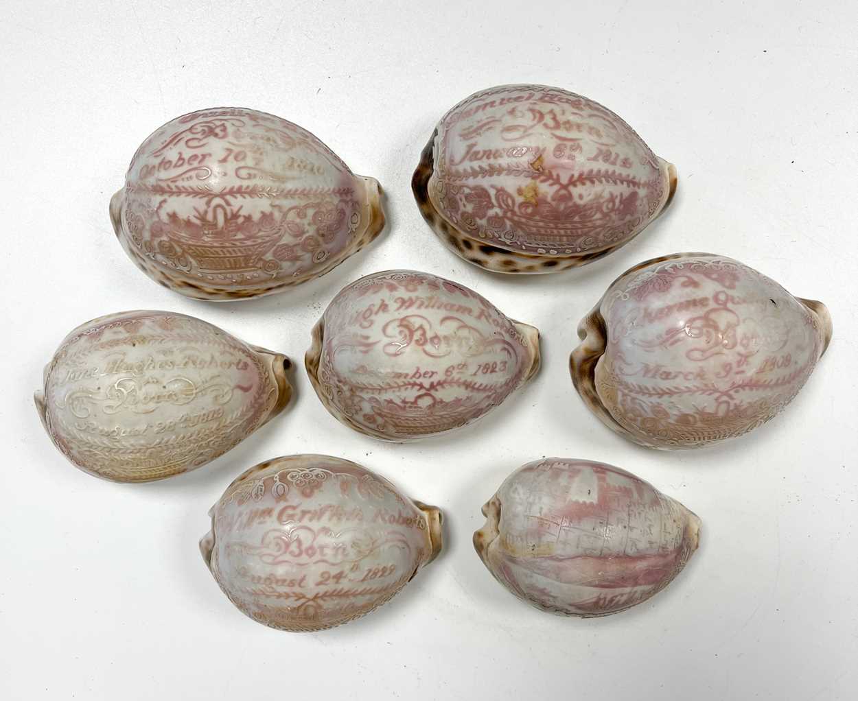 A collection of carved commemorative Cowrie shells, early 19th century, - Image 2 of 12