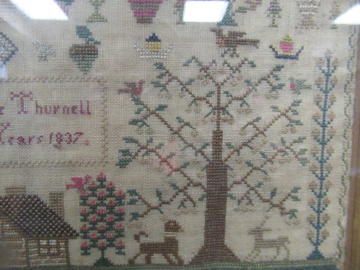 A needlework sampler by 'Charlotte Turnell Aged 9 Years 1837', with alphabet bands above 6 line - Image 2 of 5