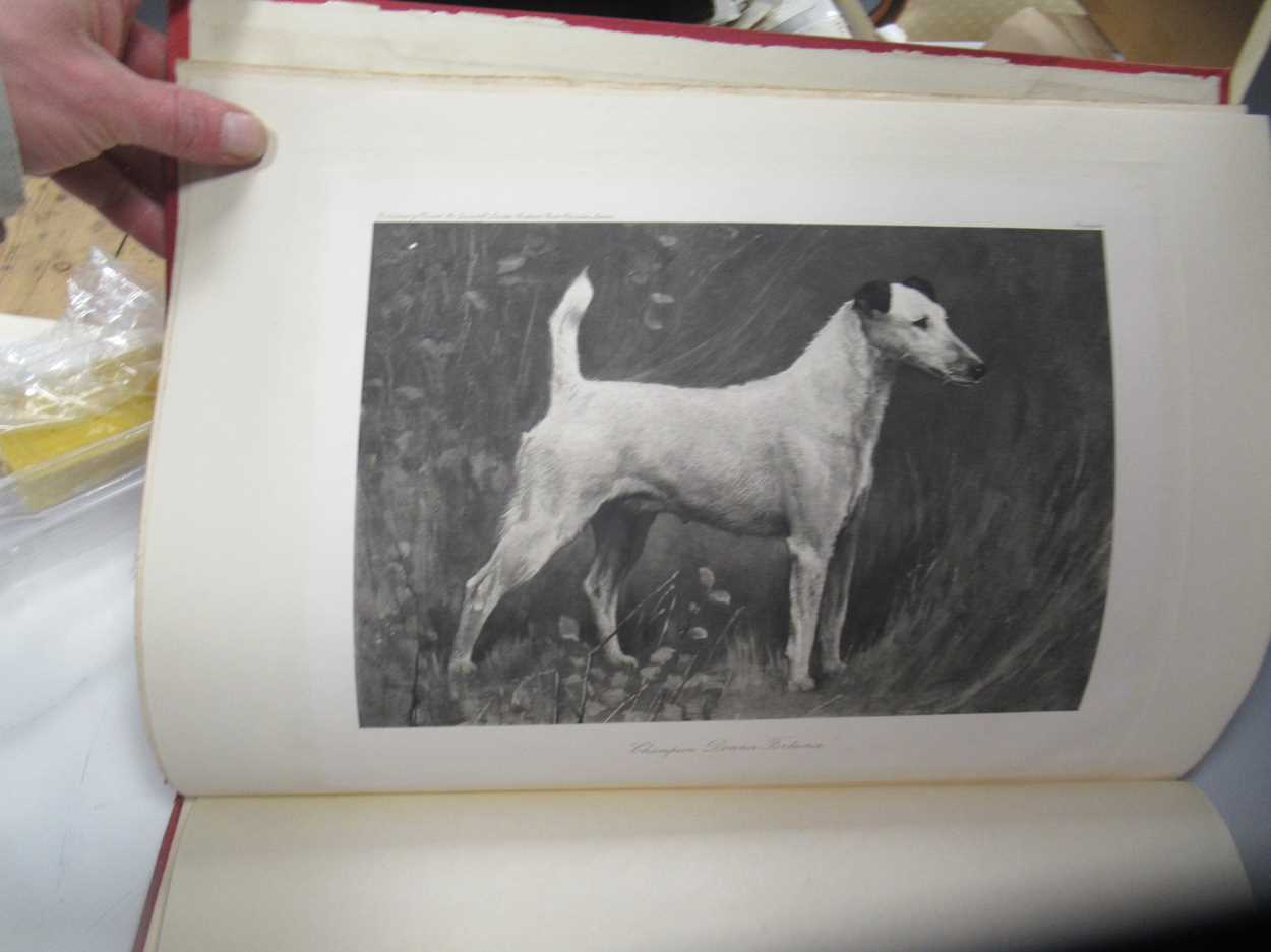 Harding Cox; The Fox Terrier and Bloodhounds, Dachshunds & Borzois please see further images for - Image 2 of 13