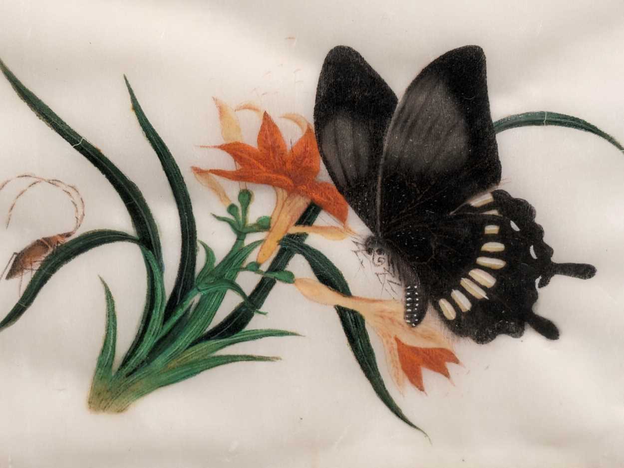 Ten Chinese paintings on rice paper of butterflies average - 13 x 17cm some ruckling to the paper,