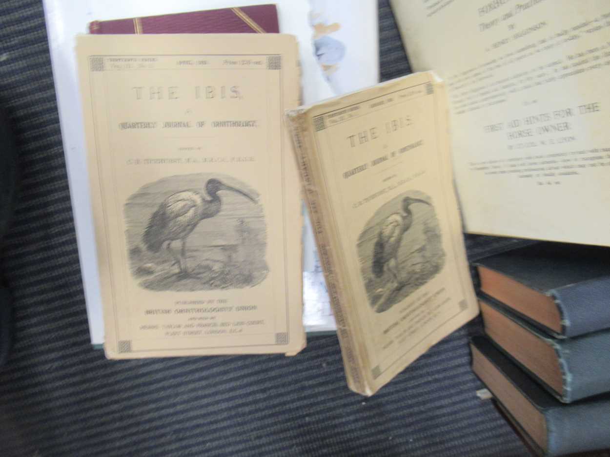 Books. Sporting interest, various titles by BB, A Bird in the Bush Lord Kennett, Idle Countryman BB, - Image 6 of 6