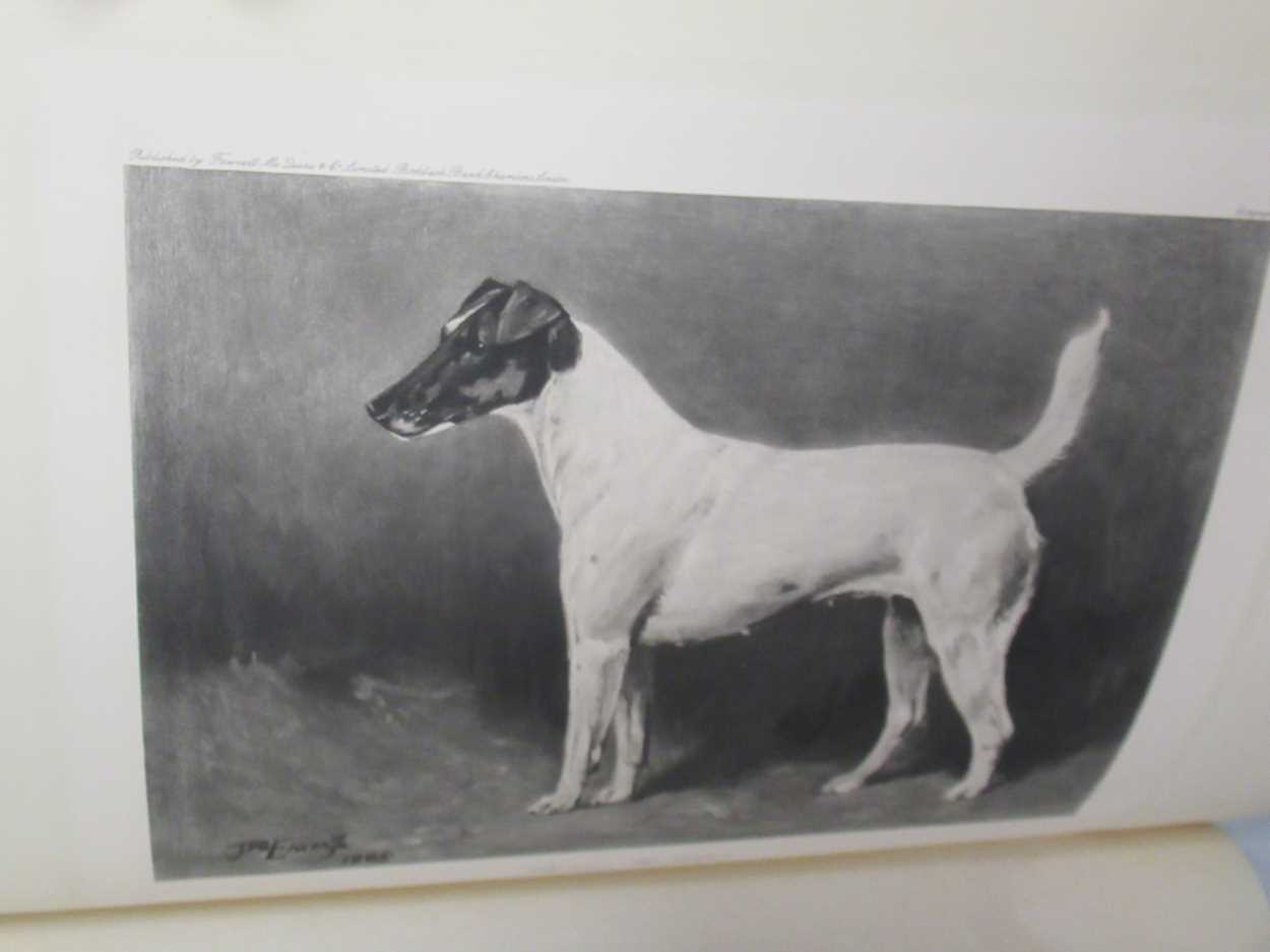 Harding Cox; The Fox Terrier and Bloodhounds, Dachshunds & Borzois please see further images for - Image 7 of 13