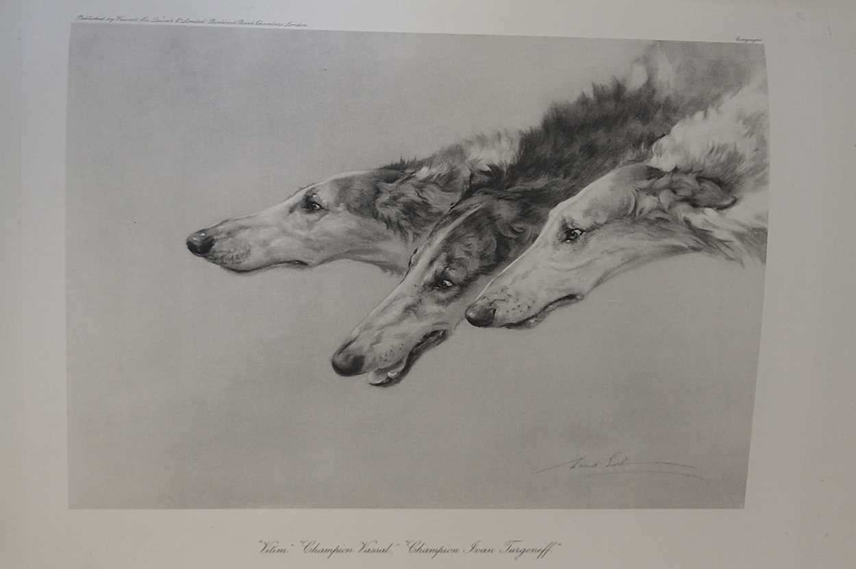 Harding Cox; The Fox Terrier and Bloodhounds, Dachshunds & Borzois please see further images for - Image 12 of 13