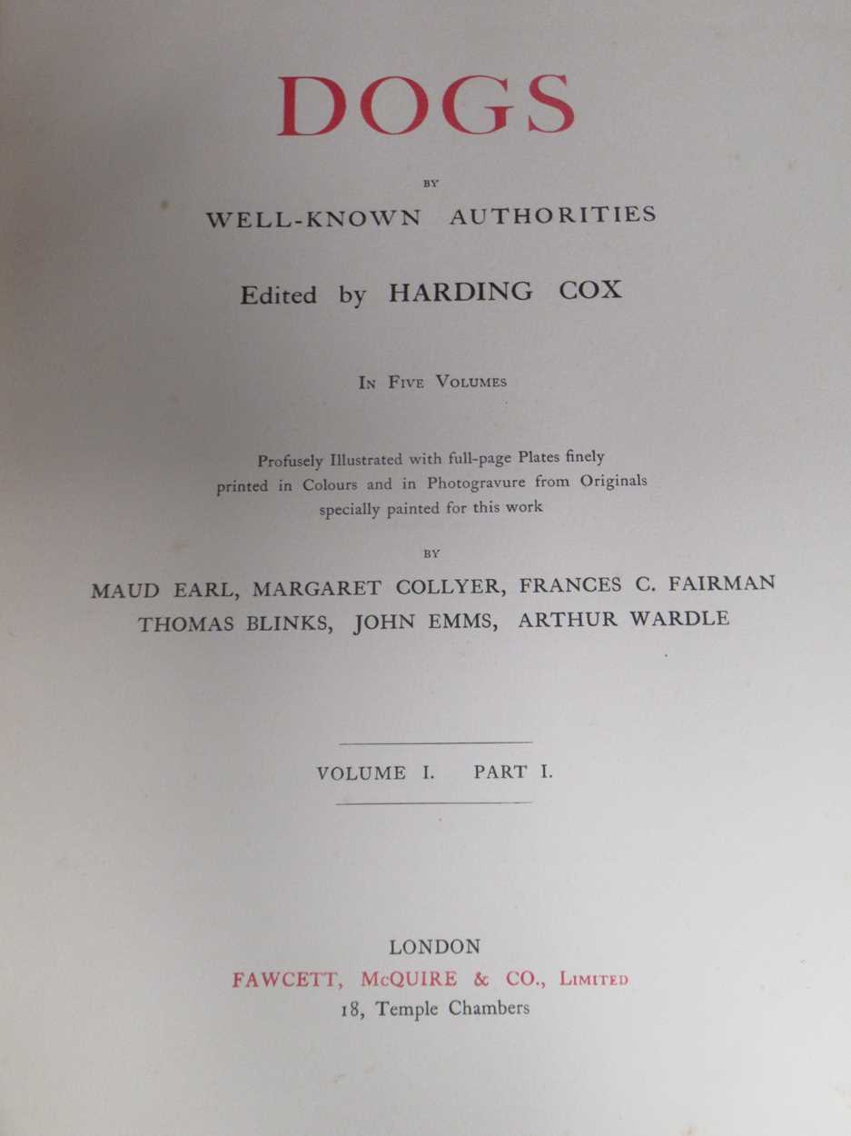 Harding Cox; The Fox Terrier and Bloodhounds, Dachshunds & Borzois please see further images for - Image 3 of 13