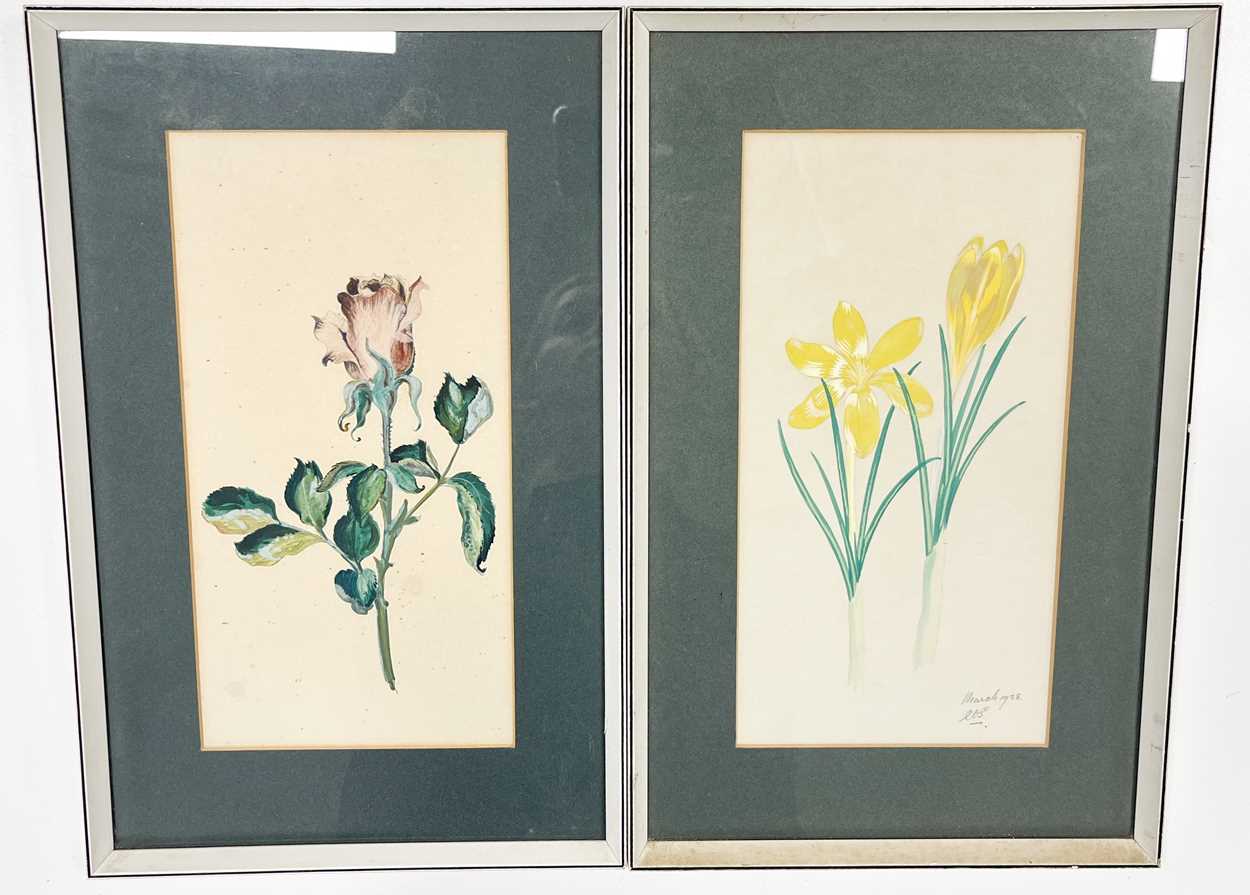 A collection of six watercolour and gouache botanical studies by Ronald Simpson, - Image 4 of 24