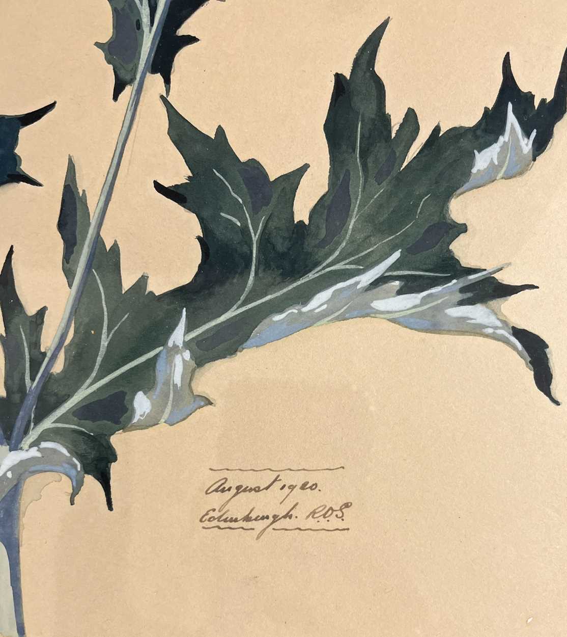 A collection of six watercolour and gouache botanical studies by Ronald Simpson, - Image 24 of 24
