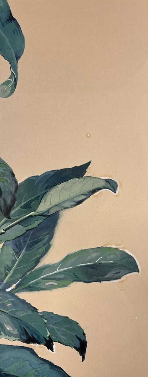 A collection of six watercolour and gouache botanical studies by Ronald Simpson, - Image 19 of 24