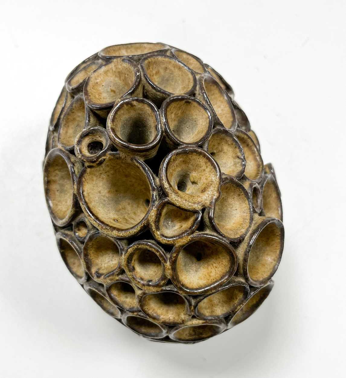 § Eileen Lewenstein (1925-2005), a stoneware organic cluster form, circa 1970, - Image 3 of 7