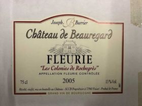 Fleurie, Les Colonies de Rochegres 2005,