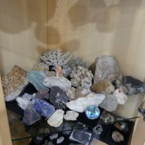 Natural History and Geology - A very large and academic collection of Geological Specimens, Minerals