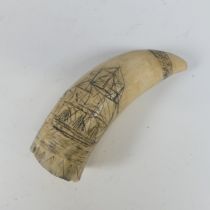 Scrimshaw Whale Tooth, carved and stained with a three-mast sailing ship and floral decoration, 10cm