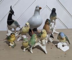 A collection of six continental porcelain bird studies by Karl Ens, together with a Beswick