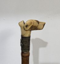 An Antique walking Stick with carved dog head as handle, dogs head carved from bone, with glass eyes