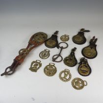 Twelve antique Horse Brasses, including ; Victoria Jubilee, George V and Queen Mary, an Elephant,