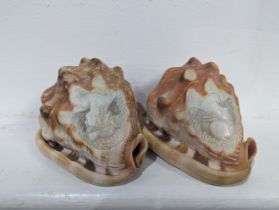 A pair of carved cameo Shells, L 11 cm.