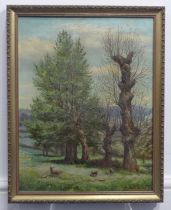 Fred E. Robertson (1878-1953), Sheep in a meadow with trees, oil on canvas, signed lower right, 46cm