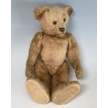A vintage Teddy Bear, with black button eyes, straw filling, sewn nose, light orange plush and