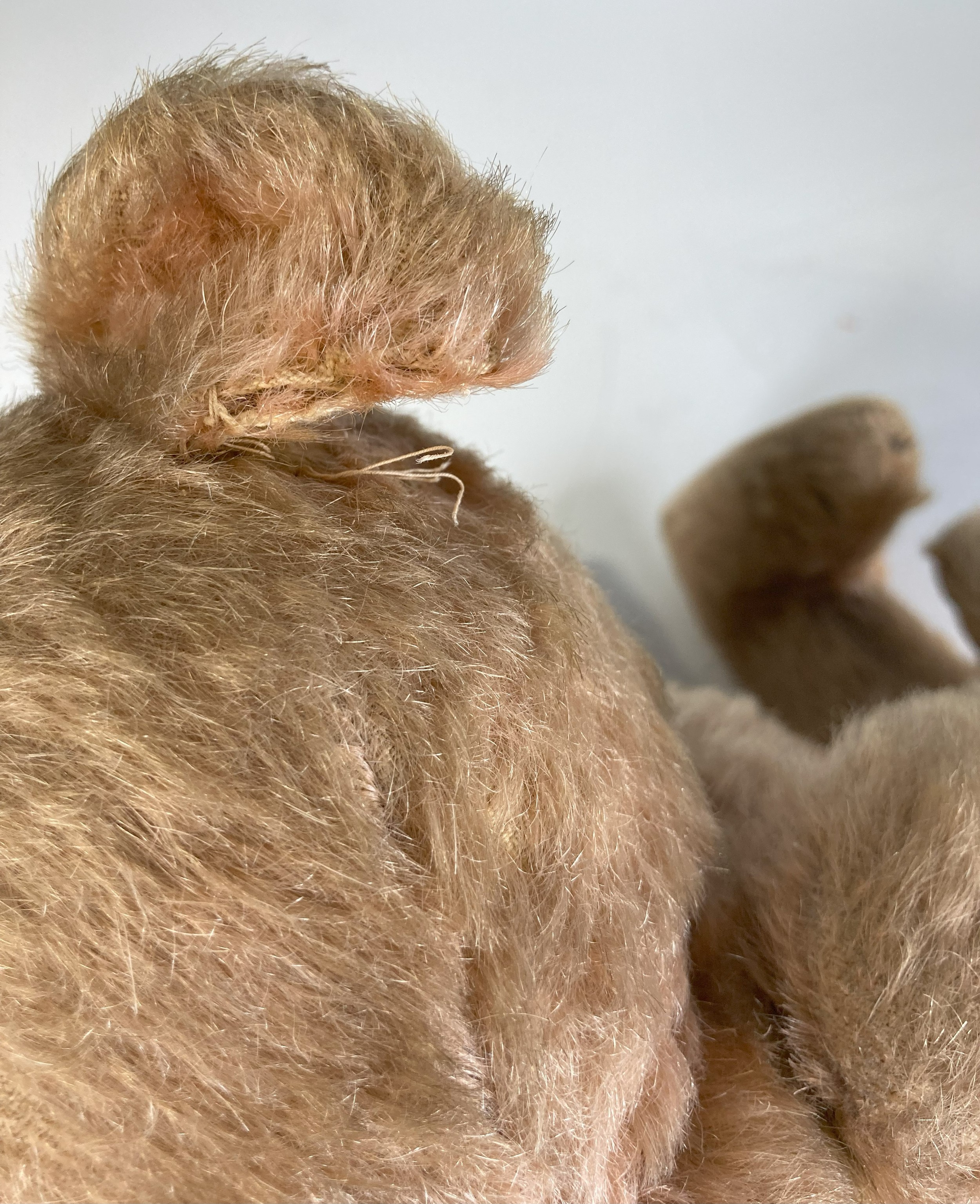 A vintage Teddy Bear, with black button eyes, straw filling, sewn nose, light orange plush and - Image 6 of 6