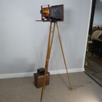 A London Stereoscopic Co. Folding Studio Plate Camera, mahogany and brass with leather bellows and