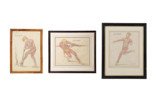 A SET OF THREE EARLY 20TH CENTURY ANATOMICAL STUDIES