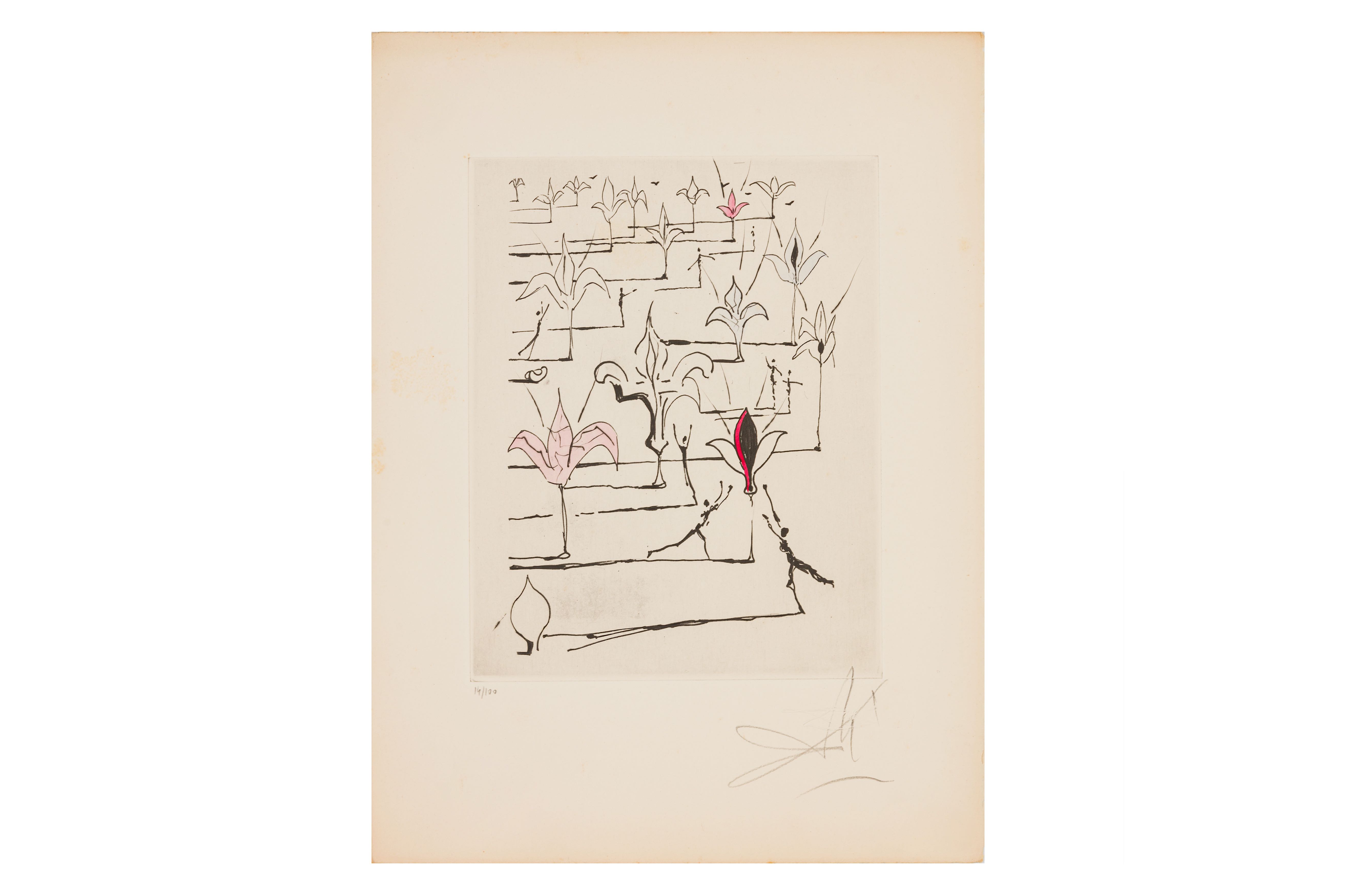 Dali. Poemes de Mao Tse-Toung, 1967 1/100 - Image 6 of 25