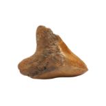 A BROWN RIVER MEGALODON SHARK TOOTH FOSSIL