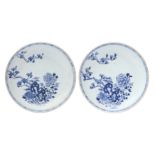 A PAIR OF CHINESE BLUE AND WHITE DISHES 清十八世紀 青花花卉圖盤一對
