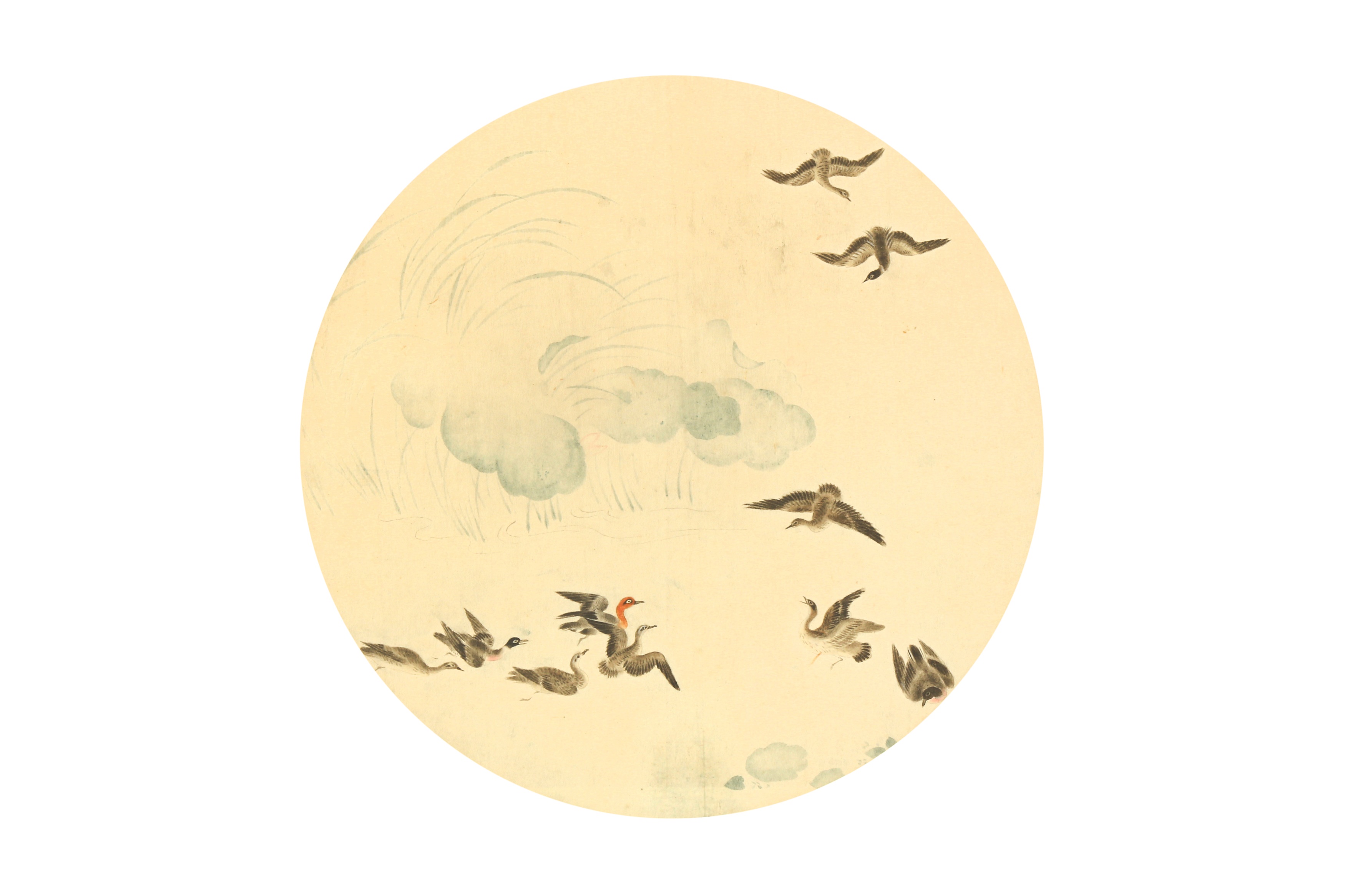 UNKNOWN ARTIST Ducks in a pond / Bird 二十世紀 設色水墨兩幅 - Image 2 of 3