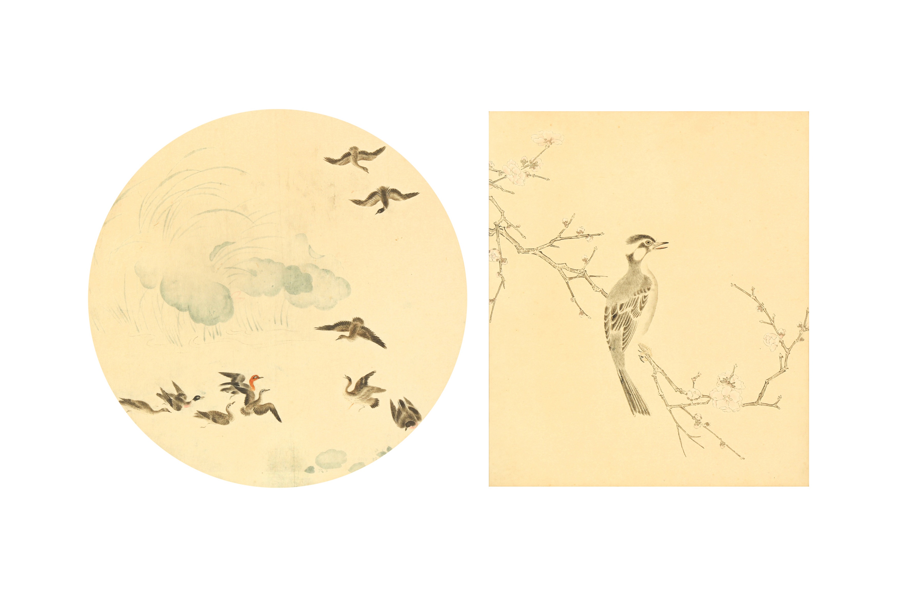 UNKNOWN ARTIST Ducks in a pond / Bird 二十世紀 設色水墨兩幅