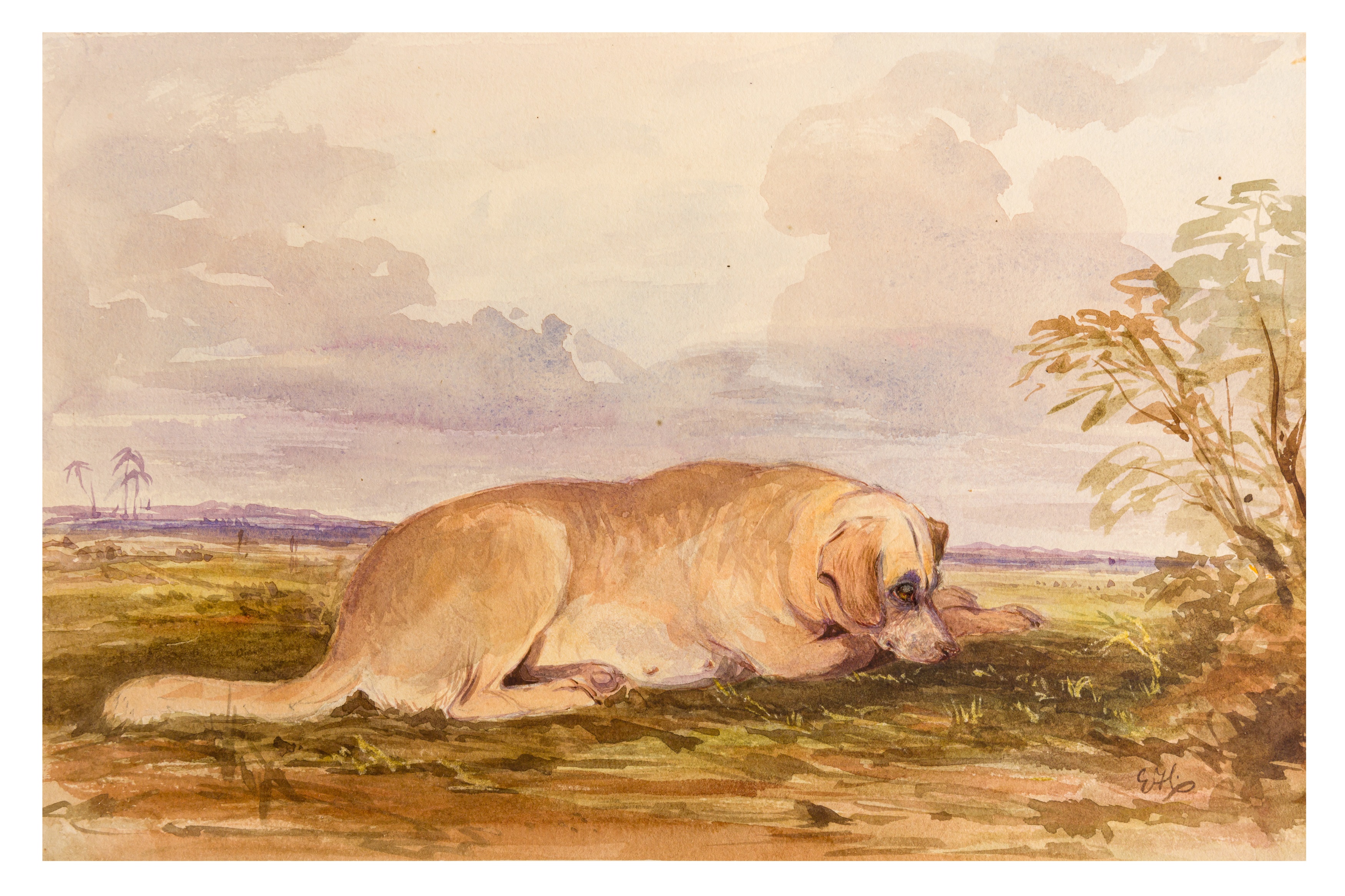 Bengal: Ricketts family, album of 78 watercolours and drawings - Image 6 of 10