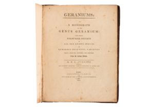 Andrews. Geraniums 1805