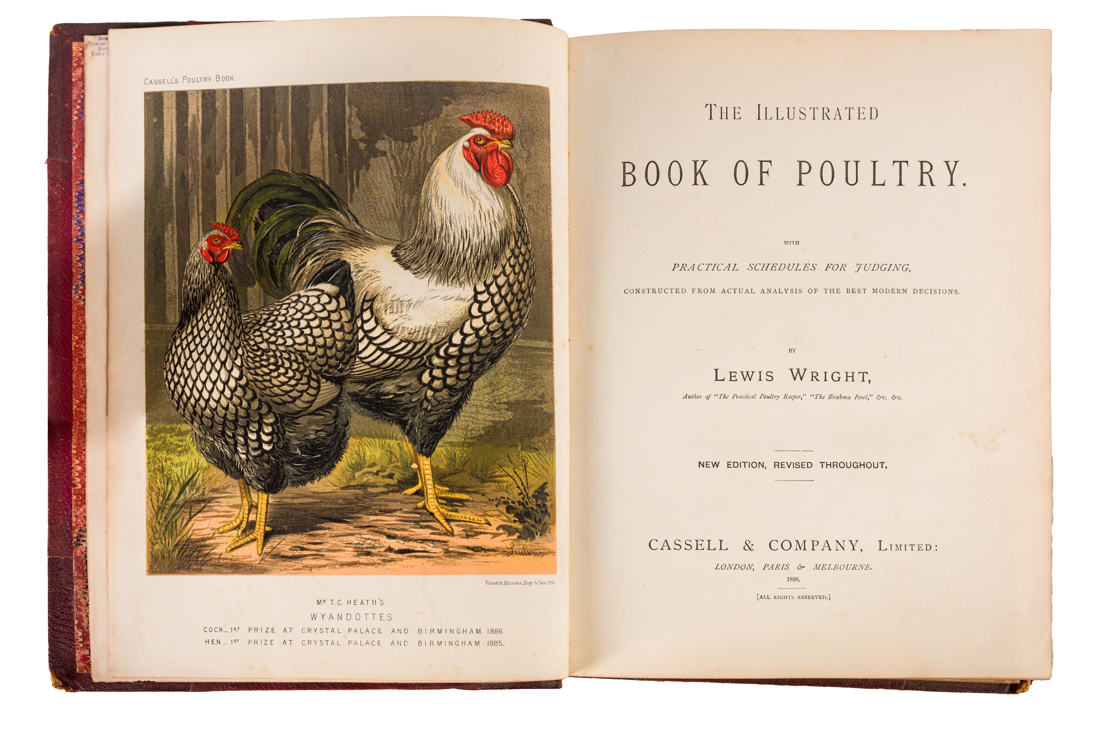 Wright. Book of Poultry. 1890 - Image 2 of 2