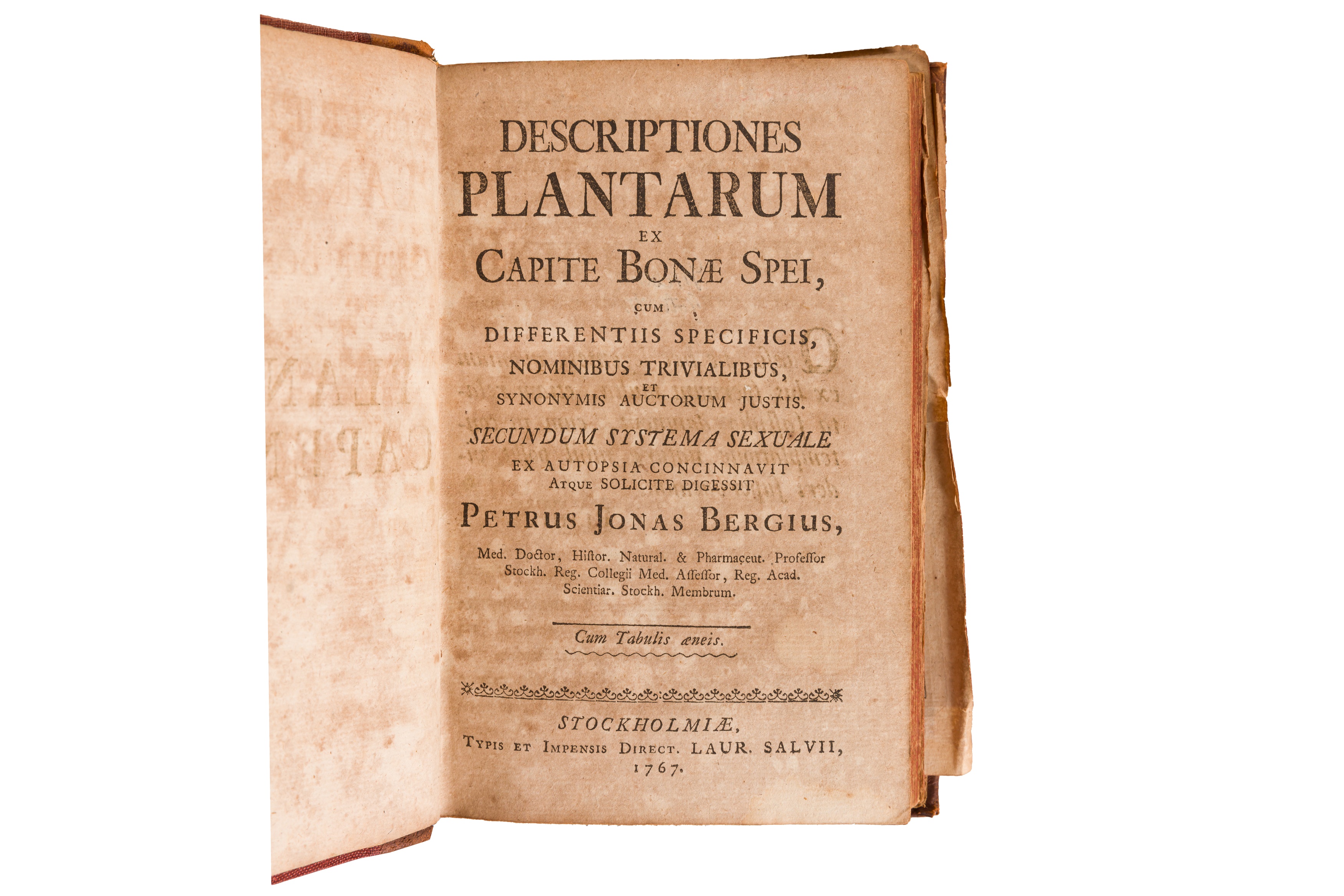 Bergius, (Peter Jonas) Descriptiones plantarum ex Capite Bone Spe, 1767 - Image 3 of 3