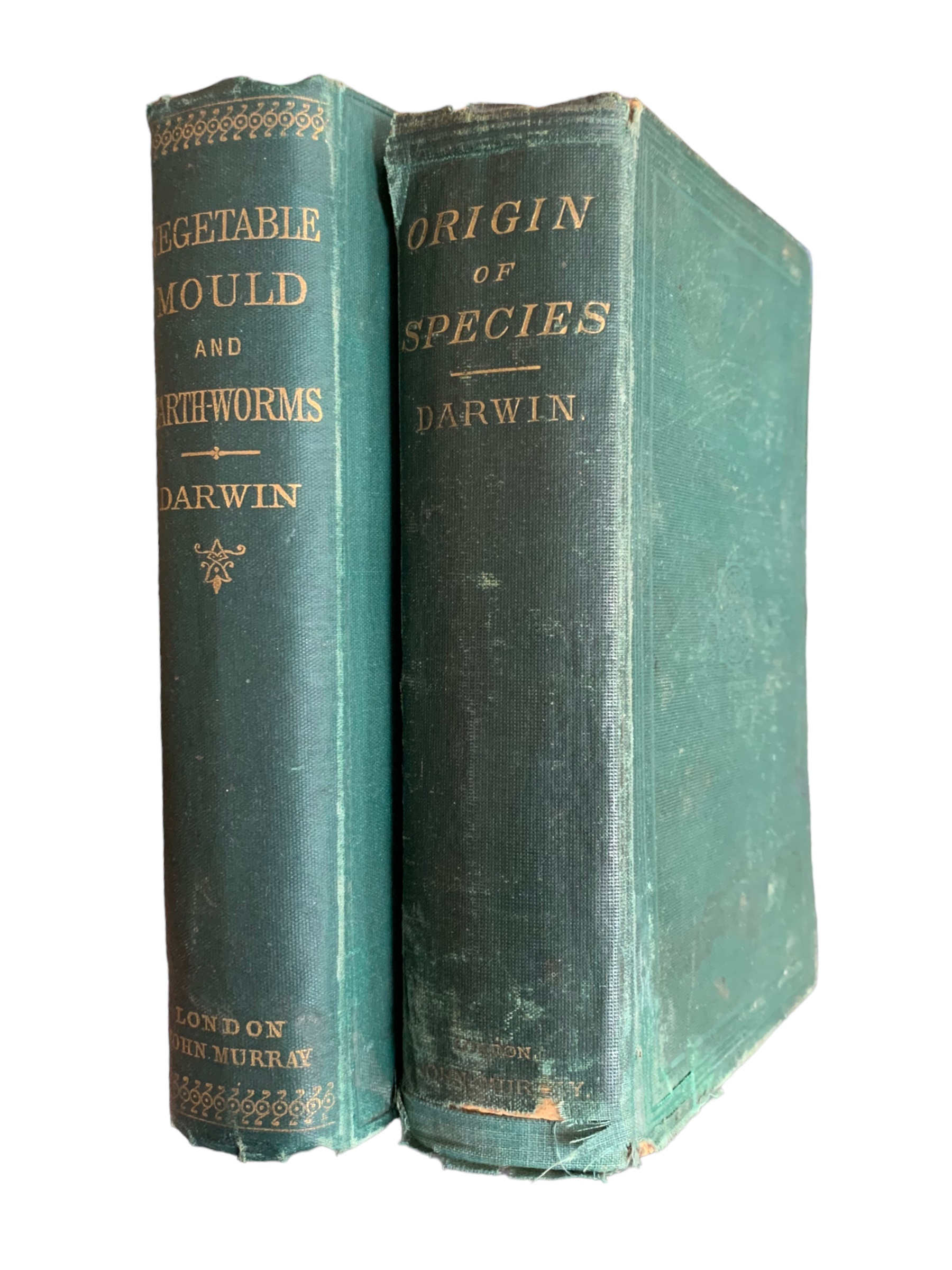 Darwin. Origin of Species, 6th ed. 1872