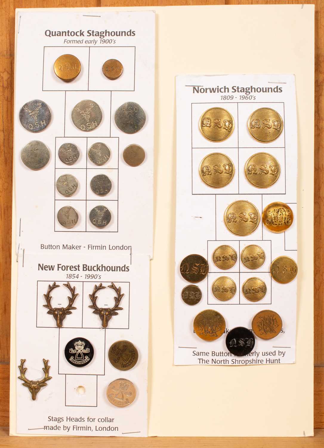 Staghound hunt buttons