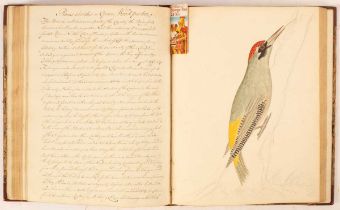 Justice (Francis) Two Manuscript Volumes of British Birds after Nature