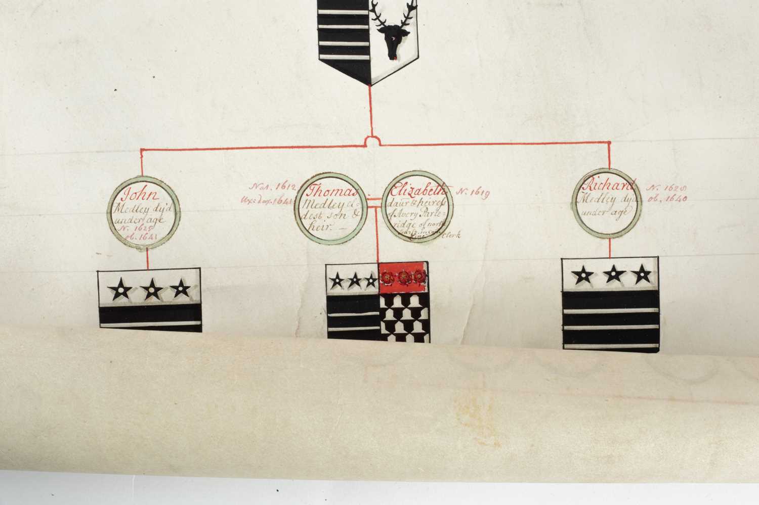 Vellum Scroll of 'The Genealogy of the antient family of Medley of Warwickshire' - Image 6 of 12