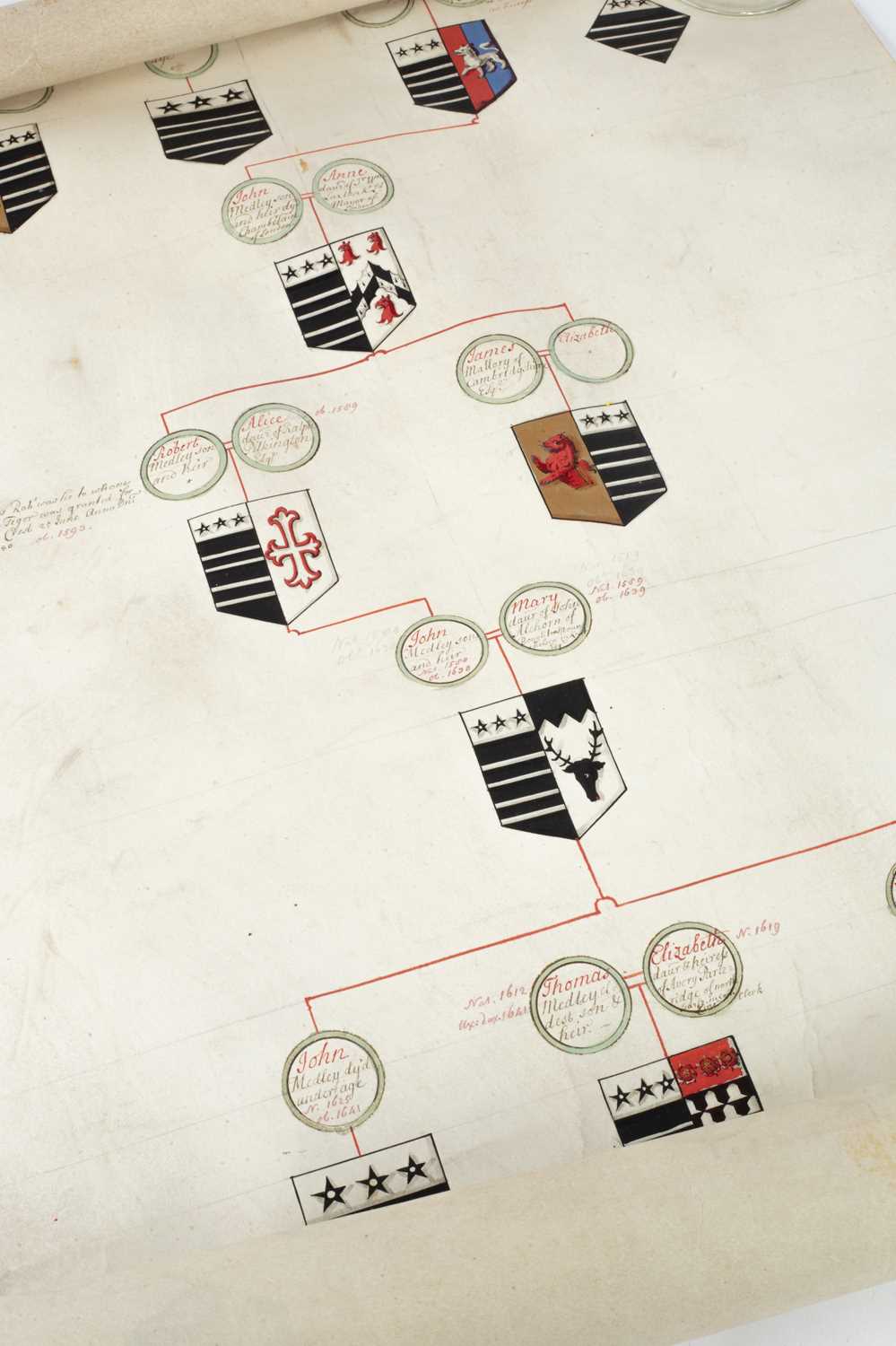 Vellum Scroll of 'The Genealogy of the antient family of Medley of Warwickshire' - Image 5 of 12