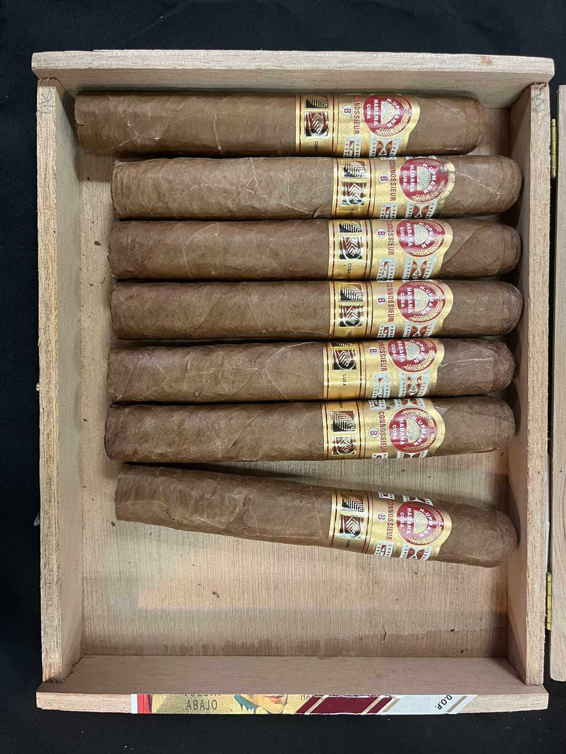 Cigars: A large quantity of cigars - Image 21 of 38