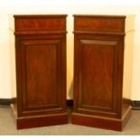 A pair of 19th Century mahogany plinth cupboards