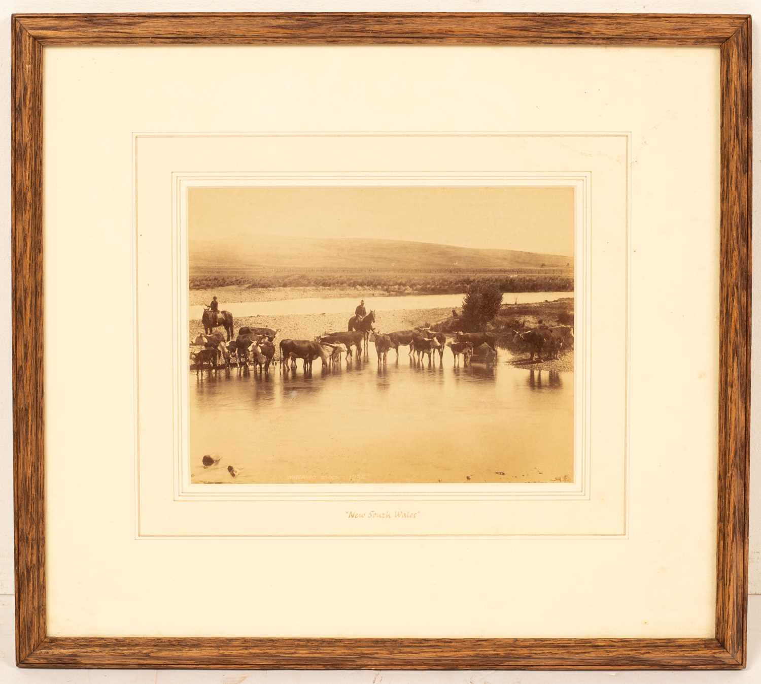 Of Australian Interest, a collection of late 19th Century photographs - Bild 6 aus 12