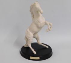 A Royal Doulton 'Spirit of the Wild' horse figurin